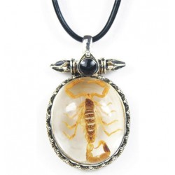 Necklace - Yellow Scorpion (Clear)