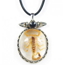 Necklace - Yellow Scorpion (Clear - Spikes)