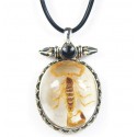 Necklace - Yellow Scorpion (Clear - Spikes)