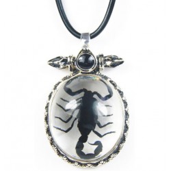 Necklace - Black Scorpion (Clear)