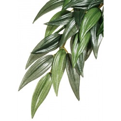 Jungle Plant - Ruscus - SM (Exo Terra)