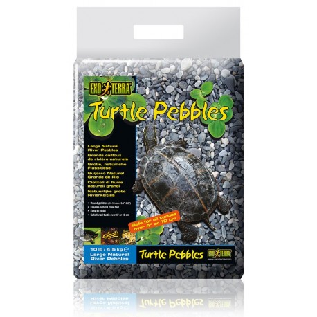 Turtle Pebbles - Large (Exo Terra)