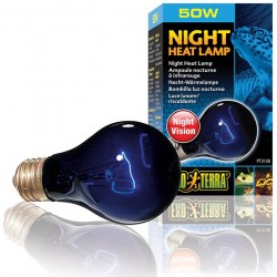 Night Heat Lamp - 50w (Exo Terra)