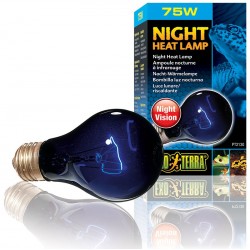 Night Heat Lamp - 75w (Exo Terra)