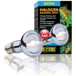 Halogen Basking Spot - 50w (Exo Terra)