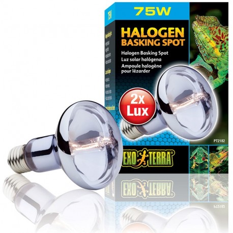 Halogen Basking Spot - 75w (Exo Terra)