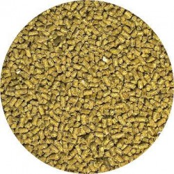 Bearded Dragon Food - Adult - 50 lb (Zoo Med)