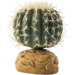 Barrel Cactus - SM (Exo Terra)