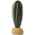 Saguaro Cactus (Exo Terra)