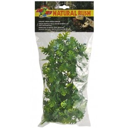 Amazonian Phyllo - MD (Zoo Med)