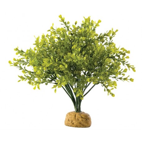 Boxwood Bush (Exo Terra)