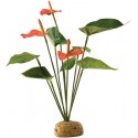 Anthurium Bush (Exo Terra)