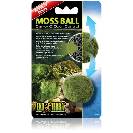 Moss Ball (Exo Terra)