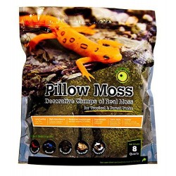Pillow Moss - 4 qt (Galapagos)