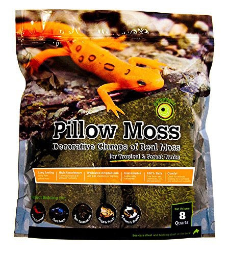 Wholesale Galapagos Pillow Moss