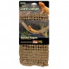 Lizard Lounger - XL (Penn-Plax)