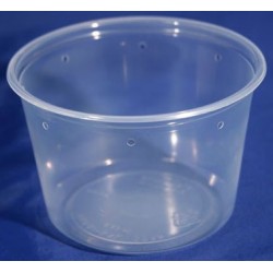 16 oz Semi-Clear Deli Cups - Punched - 100ct (Pro-Kal)