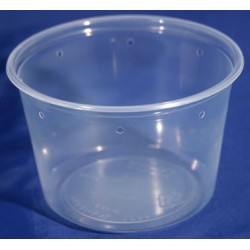 16 oz Semi-Clear Deli Cups - Punched - 100ct (Pro-Kal)