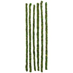 Mossy Sticks - 18" (Galapagos)