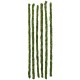 Mossy Sticks - 24" - 6pk (Galapagos)