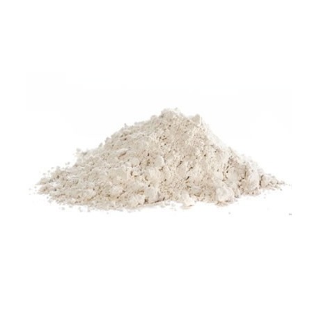 Diatomaceous Earth