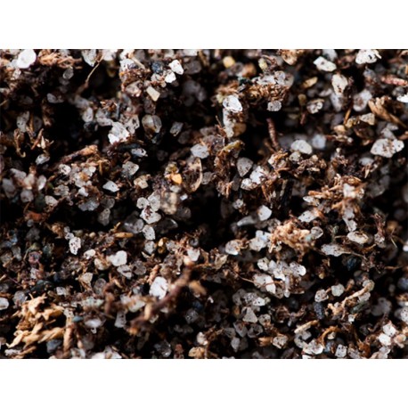 Carnivorous Plant Soil - Blend 1