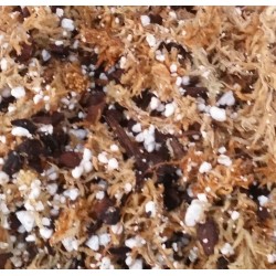 Carnivorous Plant Soil - Blend 2