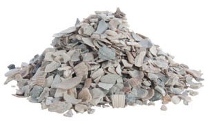 crushed-oyster-shell.jpg