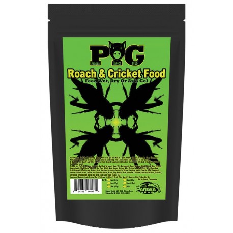 Pangea Insect Grub (8 oz)