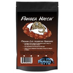 Pangea Hatch