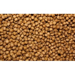Aquatic Turtle Diet - 25 lb (Mazuri)