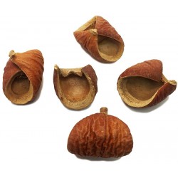 Nut Pods (RSC)