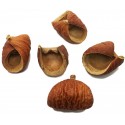 Nut Pods (RSC)