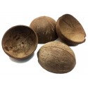 Coconut Shell Half (RSC)