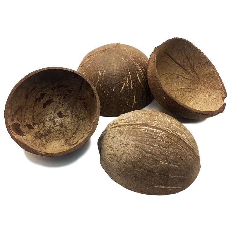 Wholesale Coconut Shell Half