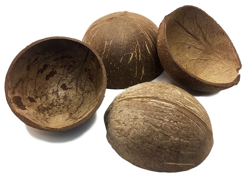coconut-shell-half-rsc.jpg