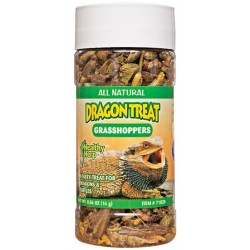 Dragon Treat - Grasshoppers (Healthy Herp)
