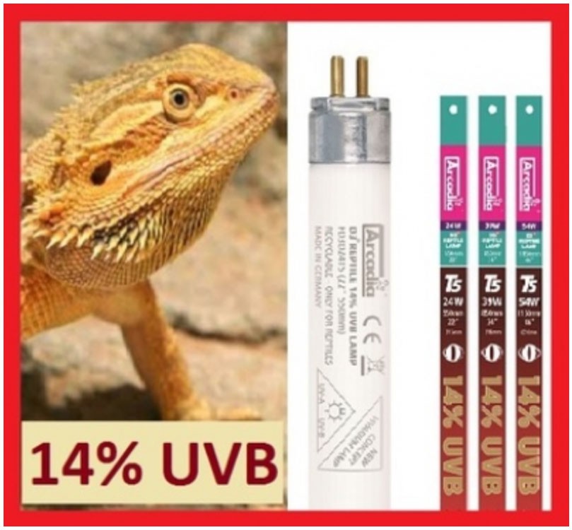 arcadia uvb lamp