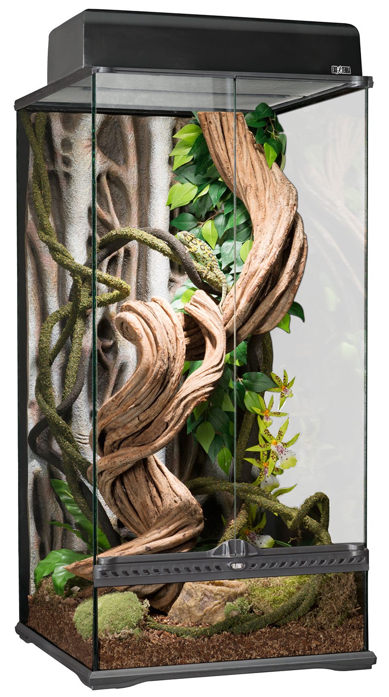EXO terrarium チャニョル CHANYEOL 9C120ADD-3FC1-468C-B3B2-