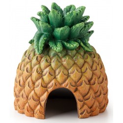Pineapple Hut (Exo Terra)