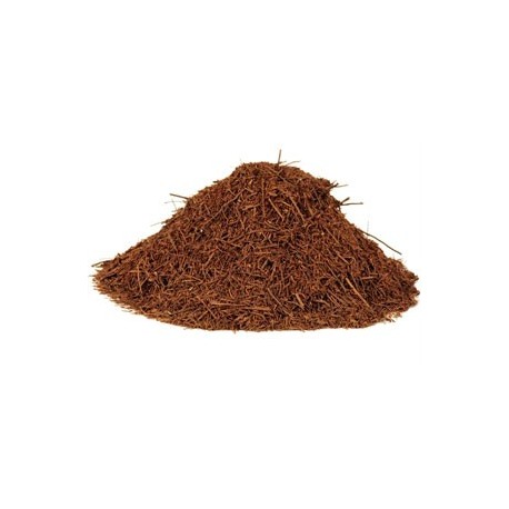 Tree Fern Fiber - 1 gal (RSC)