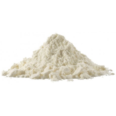 Wholesale Coconut Powder - 1 lb (RSC)