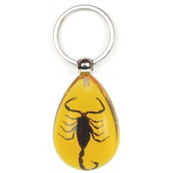 Keychain - Black Scorpion (Amber - Teardrop)