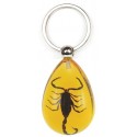 Keychain - Black Scorpion (Amber - Teardrop)