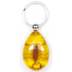 Keychain - Yellow Scorpion (Amber - Teardrop)