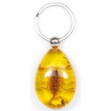 Keychain - Yellow Scorpion (Amber - Teardrop)