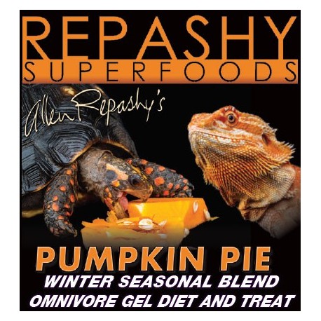 Pumpkin Pie - 6 oz (Repashy)