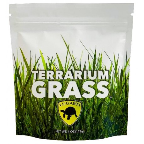 Terrarium Grass (Lugarti)
