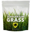 Terrarium Grass (Lugarti)