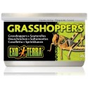 Canned Grasshoppers (Exo Terra)